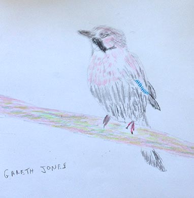 18.04.15 Aphasia Bird Workshop on Hampstead Heath with the RSPB - drawing courtesy of Gareth Jones