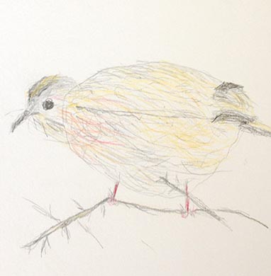 18.04.15 Aphasia Bird Workshop on Hampstead Heath with the RSPB - drawing courtesy of Isabella Iyama