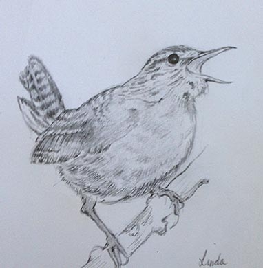 18.04.15 Aphasia Bird Workshop on Hampstead Heath with the RSPB - drawing courtesy of Linda Perry