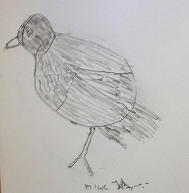 18.04.15 Aphasia Bird Workshop on Hampstead Heath with the RSPB - drawing courtesy of Mick Fitzsimons