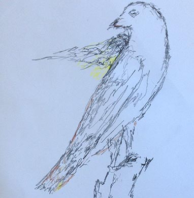 18.04.15 Aphasia Bird Workshop on Hampstead Heath with the RSPB - drawing courtesy of Rene Mangat