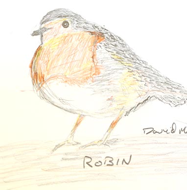 18.04.15 Aphasia Bird Workshop on Hampstead Heath with the RSPB - Robin drawing courtesy of David Mills