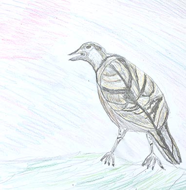 18.04.15 Aphasia Bird Workshop on Hampstead Heath with the RSPB - drawing courtesy of Sean O'Shea